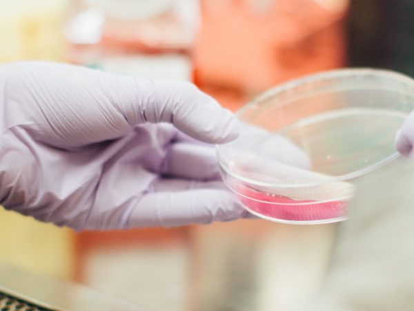 Gloved hand holding a petri dish in front of a soft-focus lab bench
